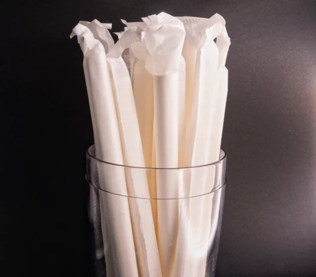 Pack of Individually Wrapped Biodegradable Boba Straws (12mm x 230mm) for bubble tea and thick drinks in the UK.