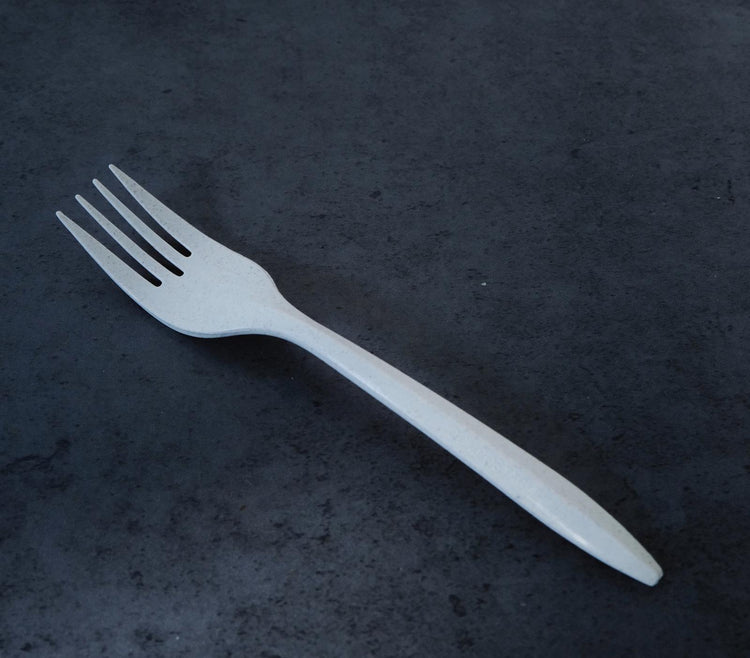 Fork (Environmental)